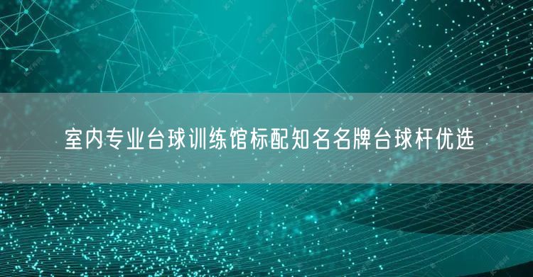 室内专业台球训练馆标配知名名牌台球杆优选