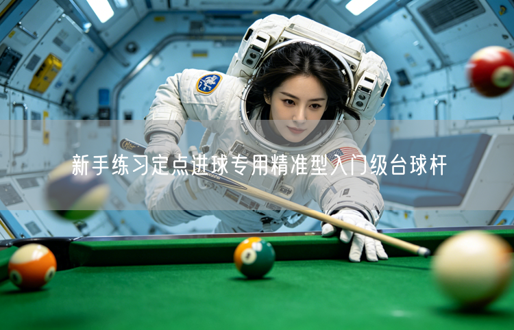 新手练习定点进球专用精准型入门级台球杆