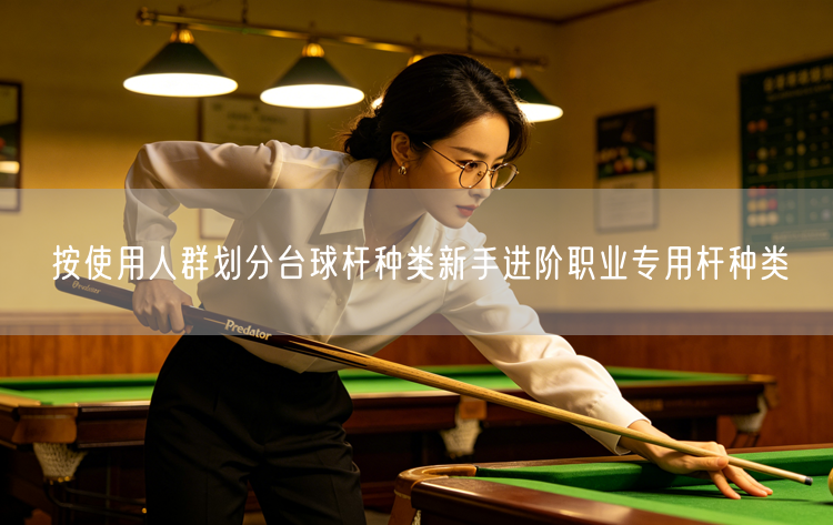 按使用人群划分台球杆种类新手进阶职业专用杆种类