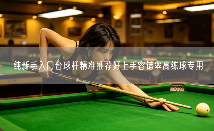 纯新手入门台球杆精准推荐好上手容错率高练球专用