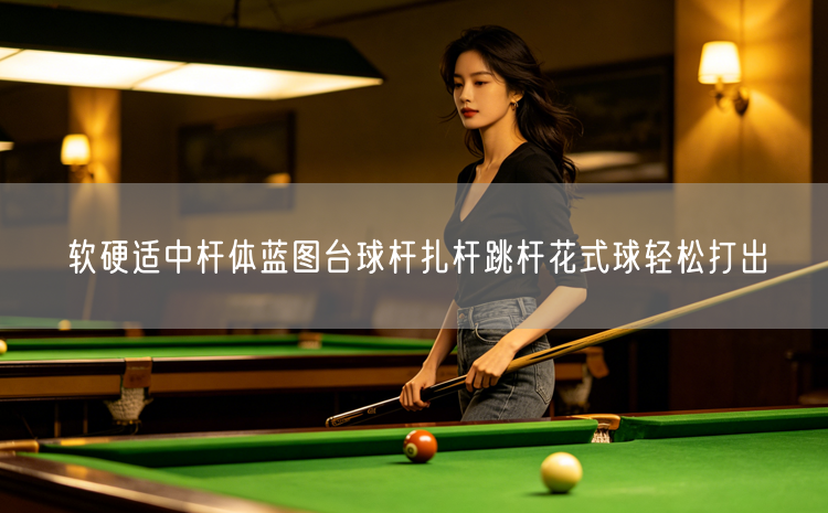 软硬适中杆体蓝图台球杆扎杆跳杆花式球轻松打出